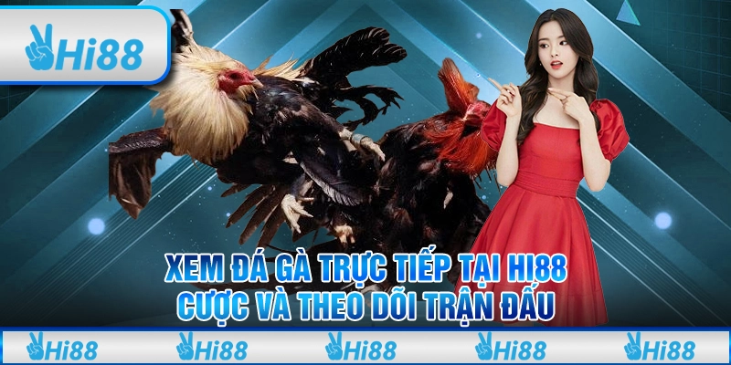 Xem Đá Gà Trực Tiếp Tại Hi88: Cược Và Theo Dõi Trận Đấu