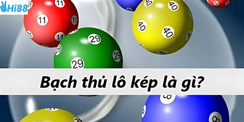 Bạch thủ lô phương pháp cá cược hiệu quả