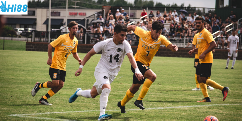 Cập nhật tin tức bóng đá Việt Nam tại Hi88