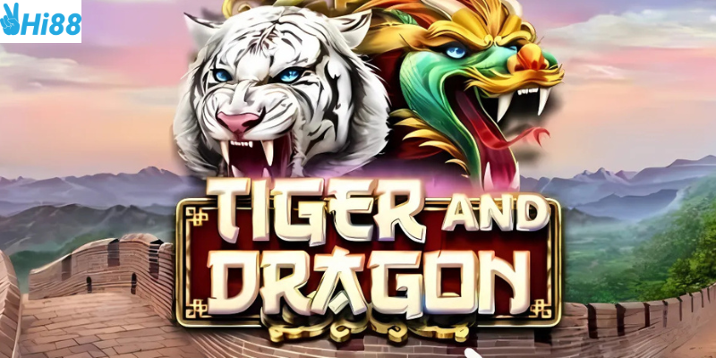 Chiến thuật hiệu quả giúp bạn thắng lớn cùng mẹo đánh rồng hổ