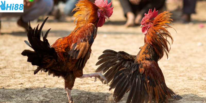 Giao diện trực quan giúp bạn dễ tiếp cận