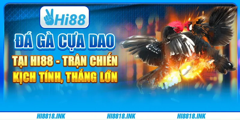Đá Gà Cựa Dao Tại Hi88 - Trận Chiến Kịch Tính, Thắng Lớn