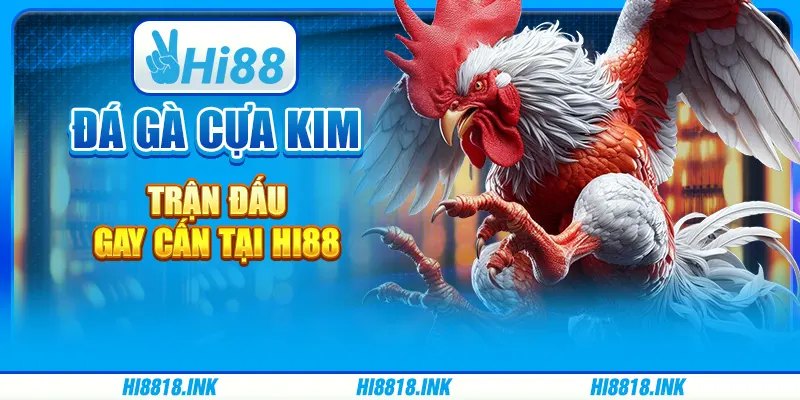 Đá Gà Cựa Kim - Trận Đấu Gay Cấn Tại Nhà Cái Trực Tuyến Hi88