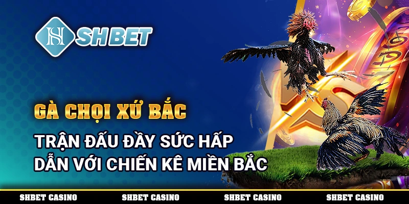 Gà chọi xứ Bắc