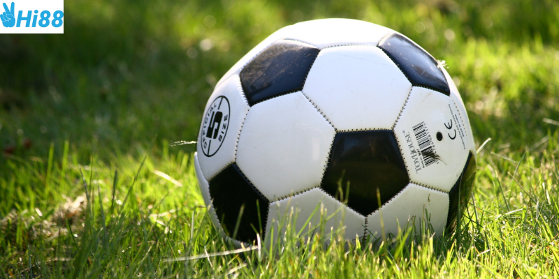 Cá cược bóng đá giao hữu quốc tế cùng nhà cái