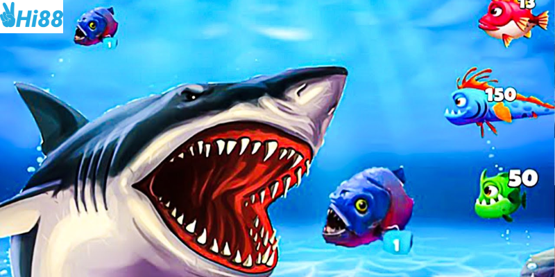 Nhận biết loại cá và sử dụng đạn hợp lý