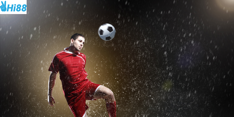 Sử dụng công cụ hỗ trợ và theo dõi tin tức