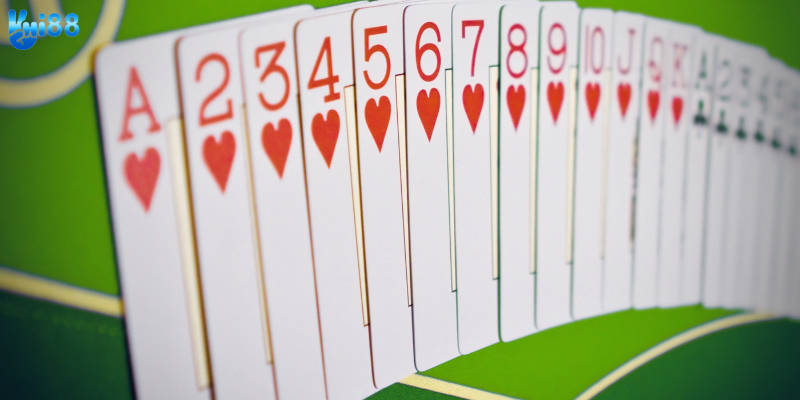 Khám phá cách dụ Heo Đỏ để chặt