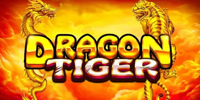 Vài nét về dragon tiger 