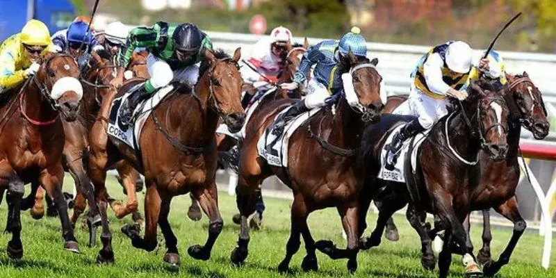 Lợi ích cần biết khi đặt cược đua ngựa 