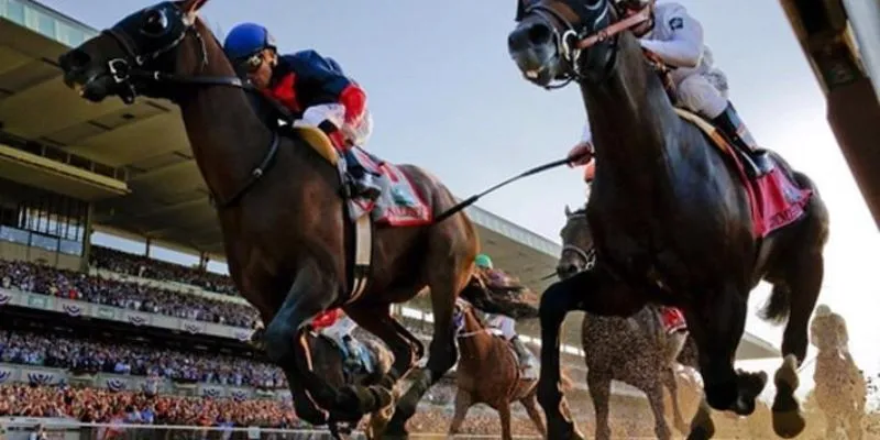 Các loại cược đua ngựa phổ biến 